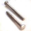 Galvanized Decking Carriage Bolt