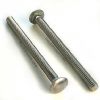 Stainless Steel Decking Carriage Bolt