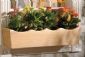 Nantucket Window Box (Scalloped Top)